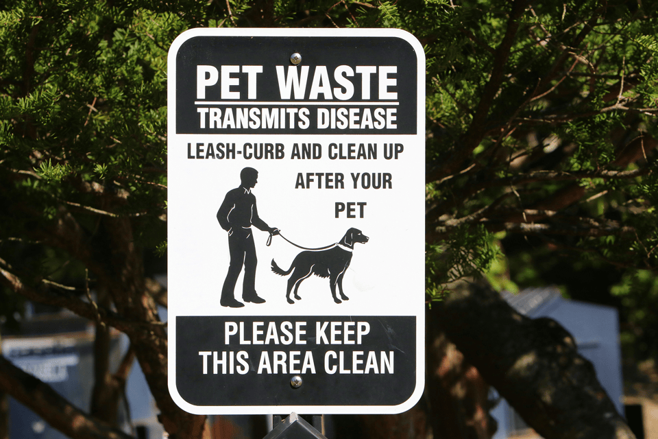 Pet waste transmits disease warning sign for health and safety